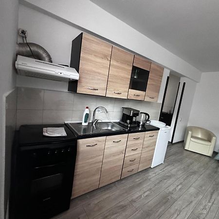 Apartament Ultracentral Vatra Dornei Appartement Buitenkant foto